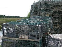 lobster traps on long island sound near guilford connecticut