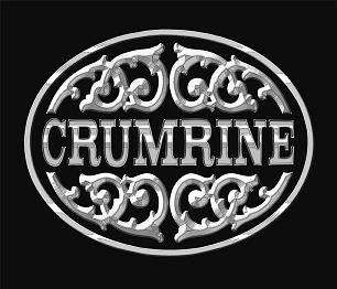 Crumrine Team Roping Silver Gold Belt Buckle M F Western