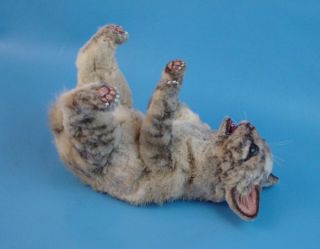 OOAK Mini Vintage Mink Fur Artist Lynx Point Siamese Cat Kitten Melisa