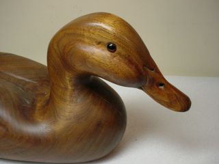 Carved Mallard Duck Decoy Signed MacInnes D Homer IL