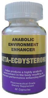 Beta Ecdysterone 60 x 500mg Build Muscle Fast