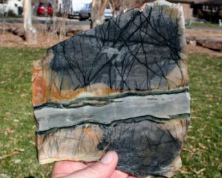 Utah Picasso Marble Slab 425 grams Specimens Rock Jasper Agate Mineral