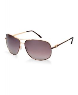 Jessica Simpson Sunglasses, J555   Plus Sizes