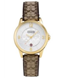 COACH SMALL CLASSIC SIGNATURE STRAP WATCH   A Exclusive
