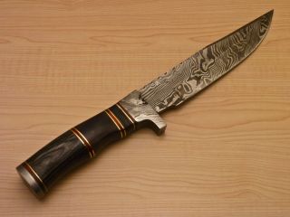 Michelles Custom Made Damascus Hunting Knife Bull Horn Hard Wood BK