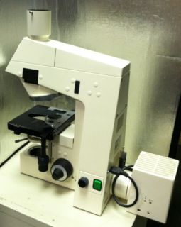 for buyers who purchase microscopes with microscope accessories