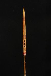 Boars Tooth Currecny Item, Papua New Guinea.