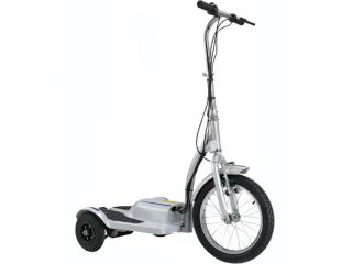 Wheel Electric Scooter TRX Personal Transporter 36V