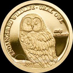 Mongolia 2011 500 Togrog Ural Owl Strix Uralensis Proof Gold Coin