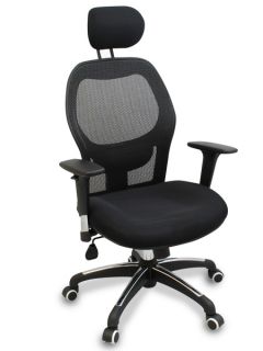 New Mesh Ergonomic Office Chair w Adjustable Headrest Arms and Lumbar