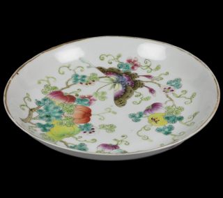 FINE ANTIQUE CHINESE POLYCHROME SAUCER DISH WITH FRUIT & BUTTERFLY