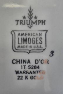 Vtg 30s American Limoges Triumph China Dor S284 Dinne