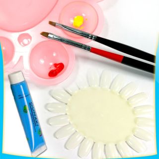 Mix 12 Colors Acrylic 3D Nail Art Paint +1 Brush+1 Pallet+2 Tips Wheel