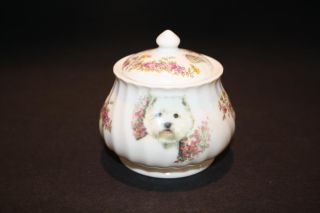 Butterfly China Westie Dog England West Highland White Terrier Tea Set