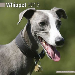 Kalender 2013 Whippet