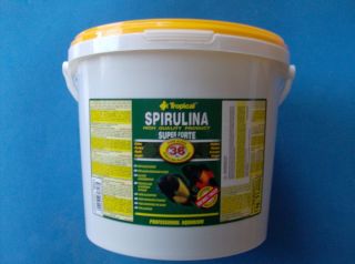 Tropical Spirulina Super Forte 36 % 5000ml 5 Liter MHD 04/2014