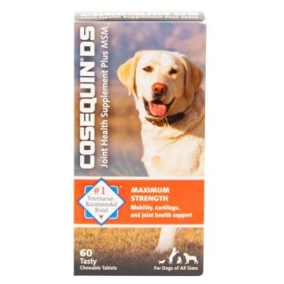 Dog Sale Cosequin® DS Plus MSM Chewables