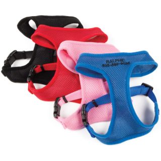 Dog Summer PETssentials Coastal Pet Products Personalized Adjustable Nylon Harnesses for XSmall Dogs