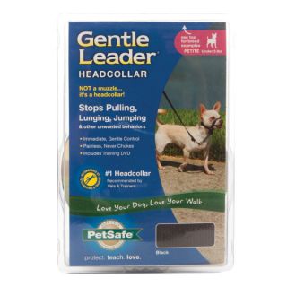 Dog Collars, Harnesses & Leashes Premier Gentle Leader Headcollar for Dogs