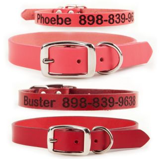 Coastal Pet Products Personalized Leather Collars for Medium/Large