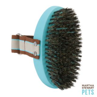 Martha Stewart Pets™ Bristle Brush   Dog   Boutique