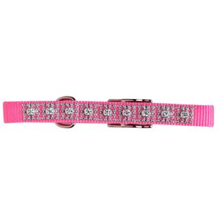 Puppy Collars and Harnesses for Small Dogs