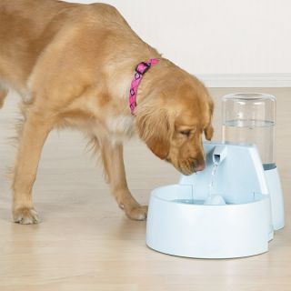 Dog Feeders & Pet Fountain