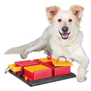 TRIXIE's Poker Box (Level 2)   Toys   Dog