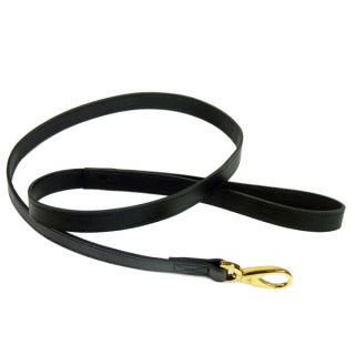 Leashes for Puppies