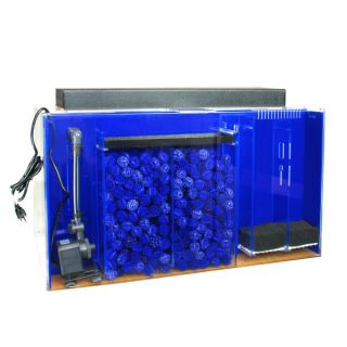 Clear For Life Rectangle Acrylic UniQuarium 50 Gallons   Over 40 Gallons   Aquariums