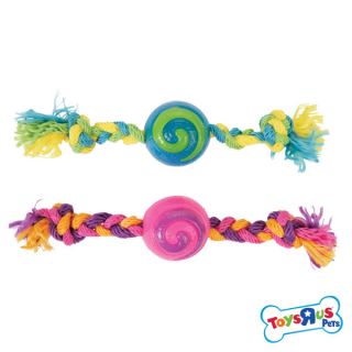 Toys R Us Pets Swirly Ball w/Rope Dog Toys   Sale   Dog