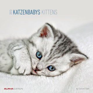 Katzenbabys 2013, Broschürenkalender   Kittens 2013 