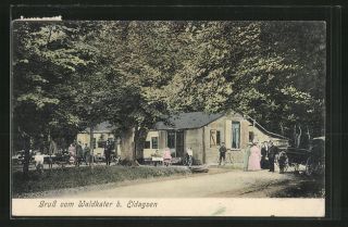 schöne AK Eldagsen, Gasthaus Waldkater