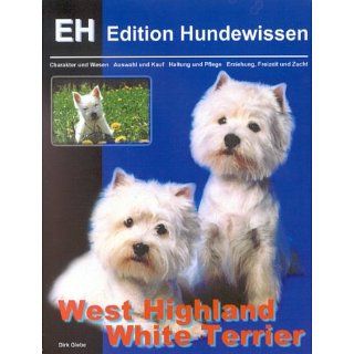 West Highland White Terrier Charakter und Wesen, Auswahl und Kauf
