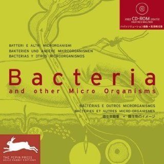 Bacteria and Other Micro Organisms (Agile Rabbit Editions) 