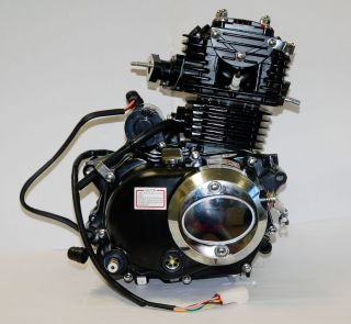 Lifan Motor/Engine 50ccm für EEC Modell Moped/Mokick