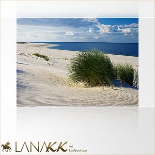 Lana KK edel FotoTapete Modern Strand Meer Sand Urlaub Insel Dünen