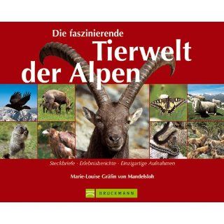 Die faszinierende Tierwelt der Alpen. Steckbriefe   Erlebnisberichte