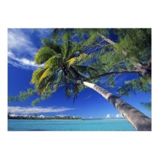 Palm Tree Society Island Beach Announcement