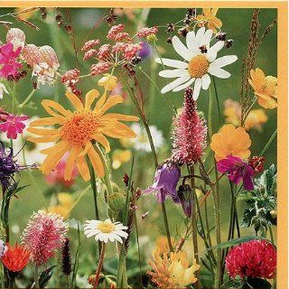 Grußkarte Sommerblumenwiese Bürobedarf & Schreibwaren