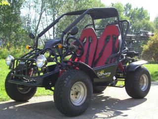 Buggy Sahara 150ccm Gokart Kart ATV Quad 2 Pers Zul NEU