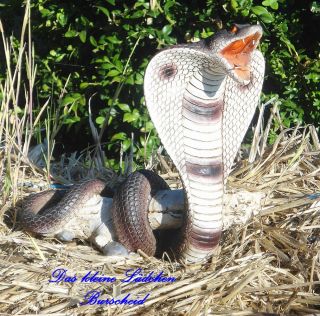 Sehr schöne Schlange Kobra auf einem Ast 23cm Figur Deko
