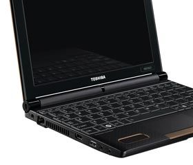 Toshiba Mini NB550D 119 25,7 cm (10,1 Zoll) Netbook (AMD C60, 1GHz
