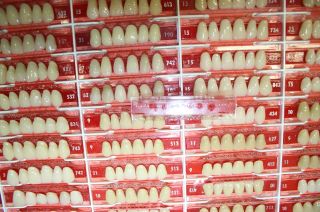 Zahnschrank mit 235 Garnituren VITANORM Porzellan Zähne #152