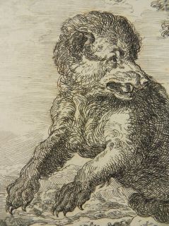 ABRAHAM HONDIUS RADIERUNG HUNDE JAGEN BÄR JAGD 1676 T