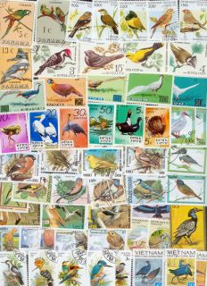 250 Briefmarken Vögel , Papageien , Wellensittich