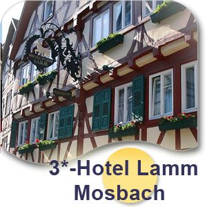 Kurzurlaub Odenwald 2Ü/2P inkl. Frühstück Hotel Limbacher Hof