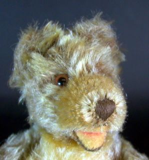 alter Steiff Teddy   Teddybär mit Stimme   17cm