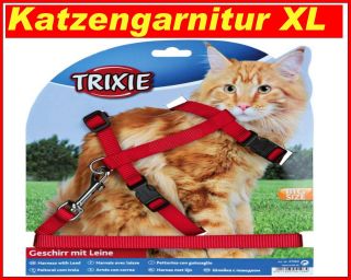 Katzengeschirr Katzengarnitur mit Leine XL große Katzen Brustgeschirr