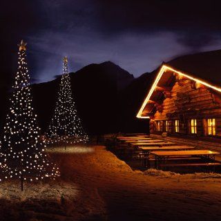 LED künstlicher Weihnachtsbaum 3 m mit 360 LED beleuchtet kaltweiss